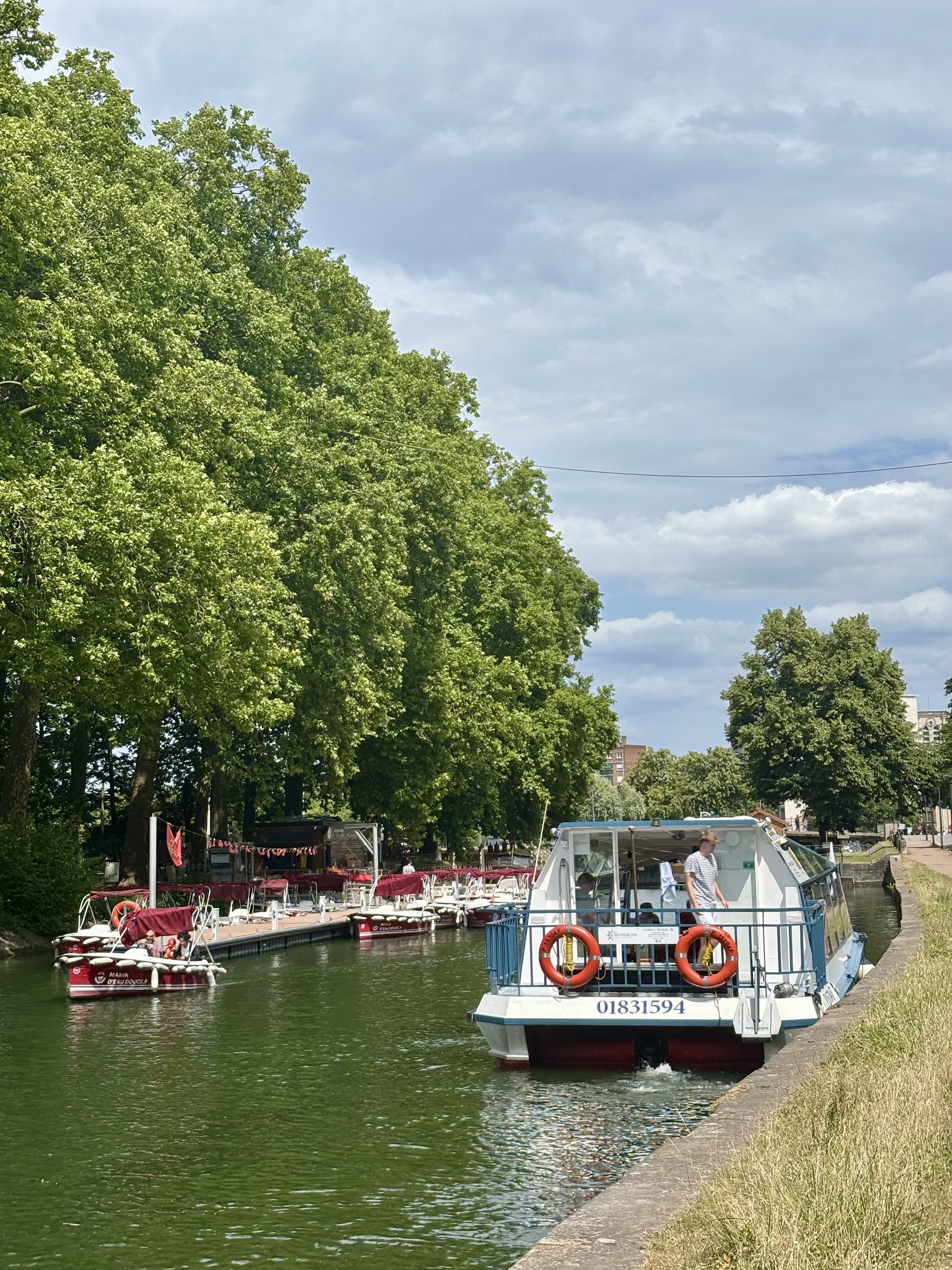 Le bateau promenade Le Moussaillon au quai à Lille, le long de la berge arborée.